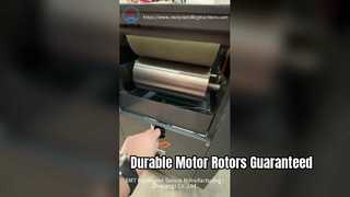 Máy tẩm rôto động cơ cho độ bền